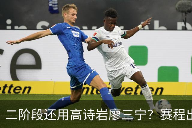 二阶段还用高诗岩廖三宁？赛程出炉很难打，赵睿周琦张镇麟该回来